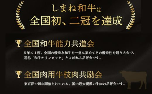 しまね和牛 生姜焼き、肉じゃが等 切り落とし 500g 【黒毛和牛  おすすめ 小分け 冷凍 和牛オリンピック 肉質NO.1】