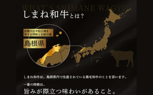 しまね和牛 生姜焼き、肉じゃが等 切り落とし 500g 【黒毛和牛  おすすめ 小分け 冷凍 和牛オリンピック 肉質NO.1】