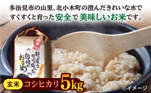 【令和7年産】 玄米 コシヒカリ 特別栽培米 （5kg） + 【美濃焼】 青雲かいらぎ フリーカップ 大 （2個） 多治見市 / 山松加藤松治郎商店 [TEU012]