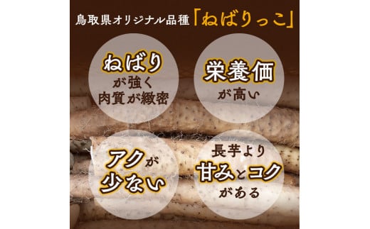 799．北栄町特産「ねばりっこ」とろろ（500g×3パック）
※着日指定不可
※離島への配送不可
※2024年11月上旬～2025年6月下旬頃に順次発送予定