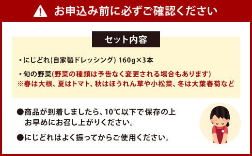 自家製 ドレッシング 「にじどれ」 3本 と 旬の野菜 セット 野菜 サラダ 調味料 北九州市産