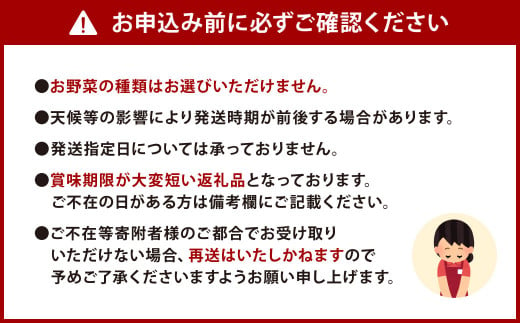 自家製 ドレッシング 「にじどれ」 3本 と 旬の野菜 セット 野菜 サラダ 調味料 北九州市産