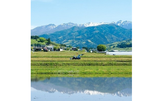 雪ほたか　精米2kg+雪ほたかアルファ化米食べ比べセット＜川場村産こしひかり＞【1329366】