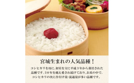 ＜令和6年産 新米＞宮城県産 ひとめぼれ 合計10kg (5kg×2袋) お米 おこめ 米 コメ 白米 ご飯 ごはん おにぎり お弁当【株式会社パールライス宮城】ta203