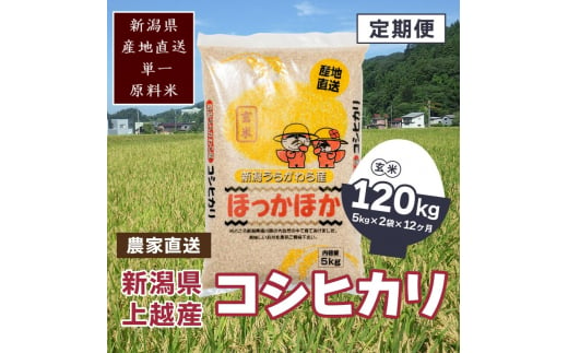 定期便 12回【毎月】新潟県 上越市 浦川原産 極上の雪国米 コシヒカリ 10kg (5kg×2) 玄米 こしひかり 米