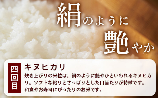 【定期便 4回配送】那賀町のお米 4種 バラエティ 食べ比べ 定期便 10kg × 4回 (合計40kg)［徳島 那賀 国産 お米 こめ おこめ 米 10kg 10キロ 精米 ご飯 ごはん 白米 はくまい 白ごはん 白ご飯 和食 おにぎり お弁当 あきさかり ヒノヒカリ コシヒカリ キヌヒカリ 父の日 敬老の日 お中元 お歳暮 ギフト 送料無料］【YS-7】