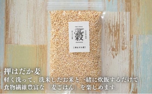 押しはだか麦 計2kg（1kg×2袋セット） [№5303-0156]