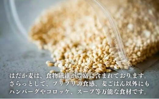 押しはだか麦 計2kg（1kg×2袋セット） [№5303-0156]