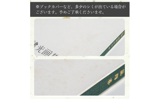 丹宗律光画集(全12巻)美術品 丹宗律光 画集 絵画 図鑑 古書 書籍【生涯学習課】a-36-11-z