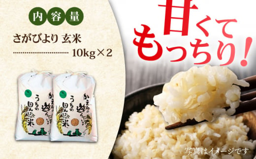 【先行予約】令和6年産 新米 さがびより 玄米 20kg ( 10kg×2袋 ) 【ひなたむらのお米】 [HAC005] 米 佐賀 佐賀県産 特A評価 特A米