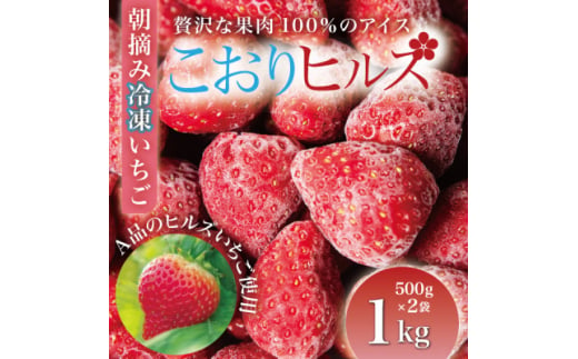 完熟朝摘み冷凍いちご『こおりヒルズ』1kg＜ヘタなし・急速冷凍＞宮城のいちご農家から直送【1497568】