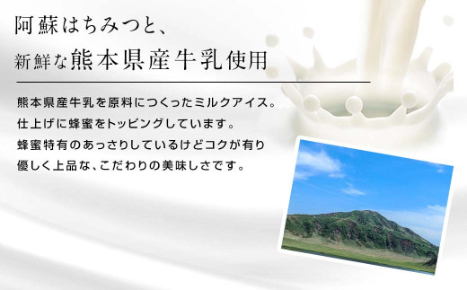 ASO ミルク アイス (阿蘇はちみつ入り) 3種15個セット (ミルク チョコレート ストロベリー 各5個)