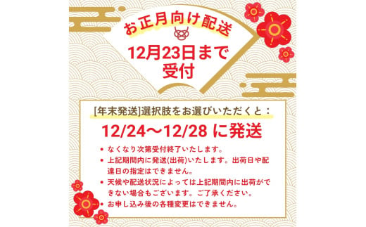 【年末発送予約受付中！】富士頂純サーモン 刺し身セット 半身分3分割 600g以上 富士山麓のきれいな天然水で養殖された安心安全なサーモン 完全無投薬・ワクチンフリー・アニサキスフリー・サステナブルな養殖サーモン フィレ 切り身 皮なし 骨なし 骨取り 生食 ムニエル 刺身 お正月 正月予約可 年末予約可 年内発送可 年内配送可 年末発送可