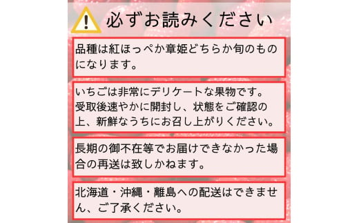 いちご (紅ほっぺ or 章姫) デラックスサイズ 400g以上