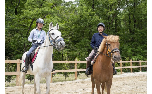 乗馬レッスンチケット！初心者からできる　乗馬共通利用券　【乗馬共通チケット】 15枚