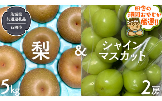 梨 5kg と シャインマスカット2房【令和6年8月より発送開始】（茨城県共通返礼品：石岡市産） 詰め合わせ 果物 フルーツ 茨城県産