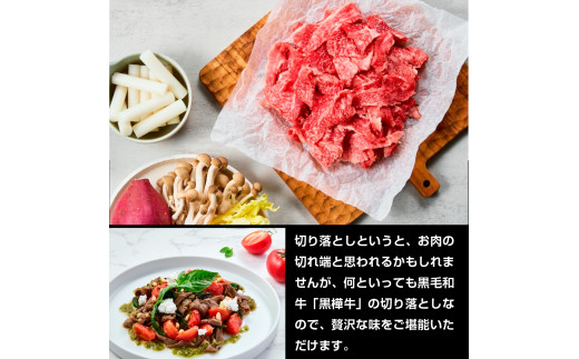 【ふるさと納税】 黒樺牛切り落とし600g 送料無料 牛肉 切り落とし 焼肉  美里町 牛肉 すき焼き しゃぶしゃぶ スライス肉 小分け 牛丼 食品 肉類 切落し 042-469