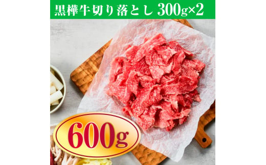 【ふるさと納税】 黒樺牛切り落とし600g 送料無料 牛肉 切り落とし 焼肉  美里町 牛肉 すき焼き しゃぶしゃぶ スライス肉 小分け 牛丼 食品 肉類 切落し 042-469