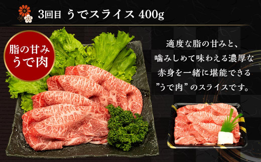 【6ヶ月定期便】熊本県産 A5等級 黒毛和牛 和王 食べ比べ