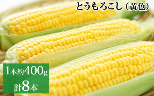 新しのつ産 とうもろこし (黄色) 2Lサイズ 8本