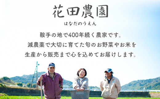 冷凍 ブロッコリー 冷凍 カット ブロッコリー 200g × 10袋 合計 2kg 花田農園 《11月上旬-3月末頃出荷》福岡県 鞍手町 冷凍 ぶろっこりー 野菜 ブロッコリー 惣菜 料理 お弁当 小分け パック 送料無料