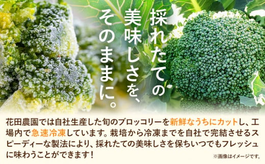 冷凍 ブロッコリー 冷凍 カット ブロッコリー 200g × 10袋 合計 2kg 花田農園 《11月上旬-3月末頃出荷》福岡県 鞍手町 冷凍 ぶろっこりー 野菜 ブロッコリー 惣菜 料理 お弁当 小分け パック 送料無料