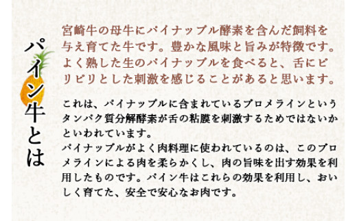 ＜パイン牛メンチカツ　80ｇ×6個＞翌月末迄に順次出荷