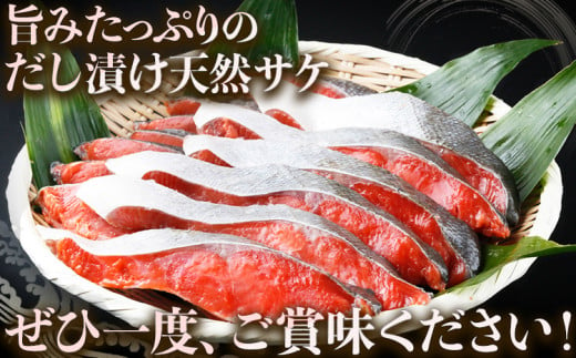 和歌山魚鶴仕込の天然紅サケ切身 約2kg 株式会社魚鶴商店《30日以内に出荷予定(土日祝除く)》 和歌山県 日高町 鮭 さけ 紅さけ 切り身