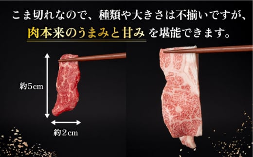 長崎和牛 こま切れ 切り落とし 極み 約400g