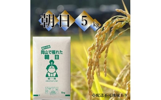 令和6年産 朝日 5kg (5kg×1袋) 岡山県産 精米 お米