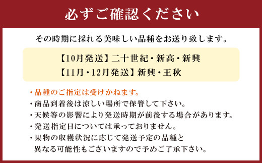  梨 4.5kg 九州産 二十世紀 豊水 南水 あきづき 新高 新興 王秋