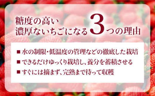 【予約：2025年1月上旬より順次発送】完熟あまおうジャム 140g×3本 糸島市 / slowberry strawberry [APJ003] イチゴ 苺 あまおう イチゴジャム