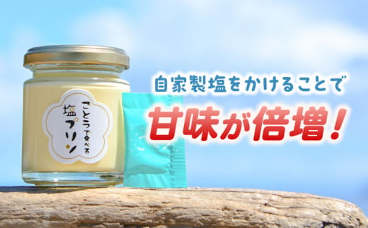 【全6回定期便】 ごとうで食べる 塩プリン 6個 椿スプーン付き / スイーツ おやつ お菓子 塩