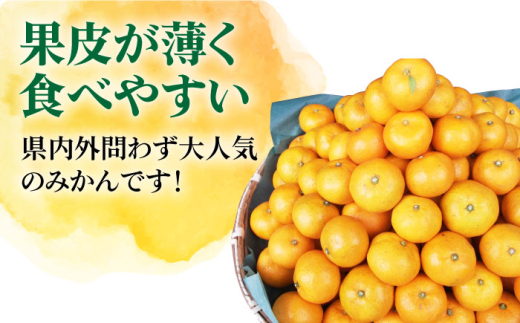 【訳あり】 長崎県産 伊木力系温州みかん10kg 長崎県/大将農園 [42AOAA017]みかん 柑橘 オレンジ 果物 フルーツ ミカン 旬 くだもの 伊木力 温州みかん