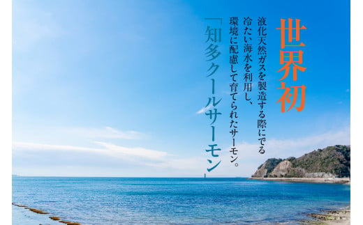 知多クールサーモン（スモーク加工品　200g×3パック） ／ 魚 濃厚 旨味 希少 愛知県