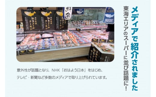 知多クールサーモン（スモーク加工品　200g×3パック） ／ 魚 濃厚 旨味 希少 愛知県