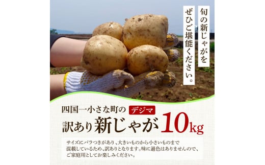 ★先行受付：2024年5月発送開始★大野台地で採れた 令和6年産新じゃがいも『デジマ』10kg 訳あり品 10キロ イモ ジャガイモ 芋 いも ポテト 野菜 おいしい 旬 国産 お取り寄せ 送料無料