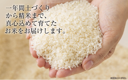 無地のし 令和6年産 新潟県 魚沼産 コシヒカリ お米 10kg  (2kg×5袋) 精米済み（お米の美味しい炊き方ガイド付き） お米 こめ 白米 新米 こしひかり 食品 人気 おすすめ 送料無料 魚沼 十日町 十日町市 新潟県産 新潟県 精米 産直 産地直送 お取り寄せ