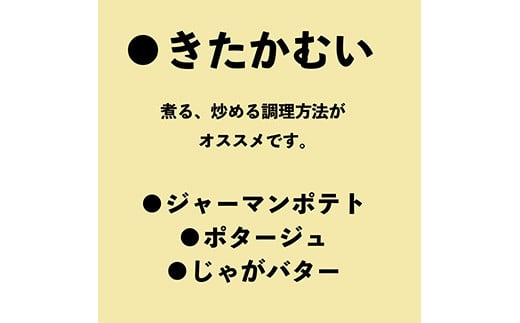 北海道ニセコ産！2023若山農産のきたかむい Sサイズ　2kg【26004】