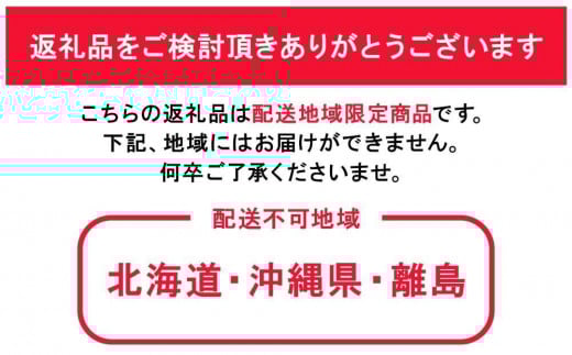 ぶどう 2026年 岡山県産 ニューピオーネ2房(1房480g以上) 化粧箱入り