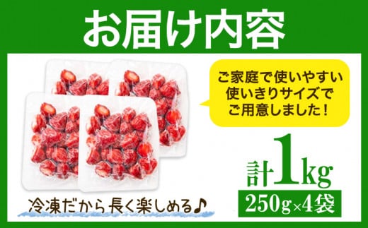 福岡県産 冷凍あまおう 小分けパック 1kg(250g×4袋) 株式会社木村食品《90日以内に出荷予定(土日祝除く)》福岡県 鞍手町 冷凍あまおう いちご 冷凍フルーツ 果物 送料無料