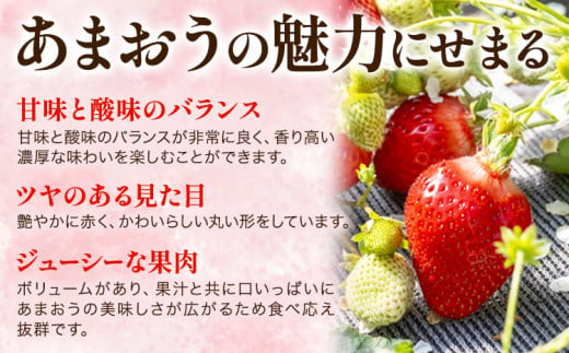 福岡県産 冷凍あまおう 小分けパック 1kg(250g×4袋) 株式会社木村食品《90日以内に出荷予定(土日祝除く)》福岡県 鞍手町 冷凍あまおう いちご 冷凍フルーツ 果物 送料無料