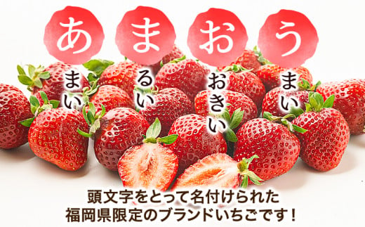 福岡県産 冷凍あまおう 小分けパック 1kg(250g×4袋) 株式会社木村食品《90日以内に出荷予定(土日祝除く)》福岡県 鞍手町 冷凍あまおう いちご 冷凍フルーツ 果物 送料無料