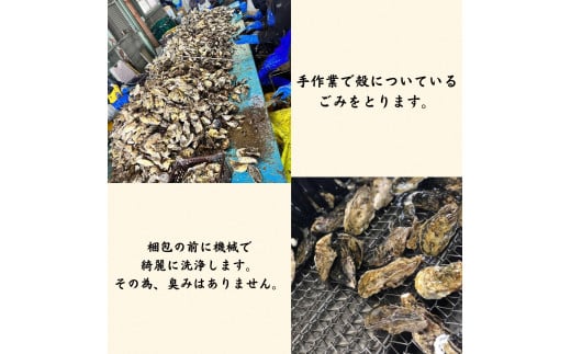 【 2025年発送 】殻付き牡蠣(一斗缶) 約10kg【 全国牡蠣-1グランプリ豊洲2024 加熱部門初代グランプリ受賞！ 牡蠣 加熱用 約10kg 新鮮 蒸し牡蠣 焼き牡蠣 岡山県 備前市 日生産 】