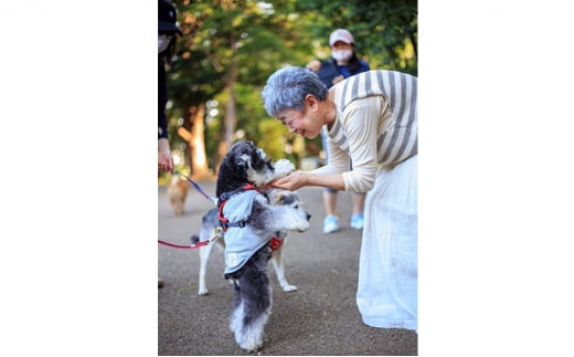 オーガニック鹿肉ペットフード（犬用）ドライタイプ100ｇ×2袋　鹿肉ペットフード（犬猫用）ウェットタイプ100g×2袋　鹿肉ペットフード（犬猫用）ジャーキー40g×2袋 [№5915-0906]