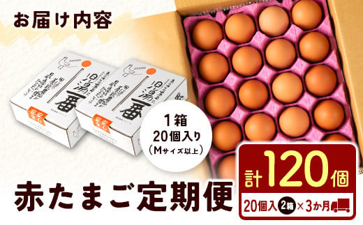 ＜児湯養鶏自慢の卵＞ネッカリッチ赤たまご「児湯一番」 計120個 （20個入×2箱）×3か月定期便【C55】