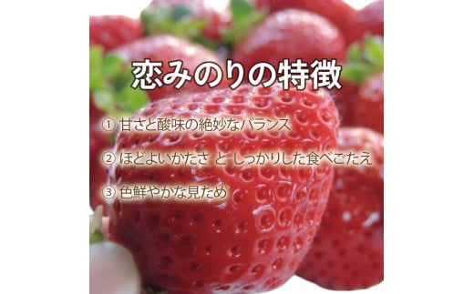 いちご 食べ比べ セット 恋みのり さちのか 各2パック 計4パック ( 280g × 4 ) 大粒 果物 フルーツ 苺 ストロベリー  ケーキ アイス タルト ジュース ゼリー ジェラート シャーベット ジャム スムージー 洋菓子 和菓子 フルーツサンド フルーツ大福 いちご大福 プレゼント ギフト お取り寄せ グルメ 送料無料 徳島県 阿波市 御所の郷