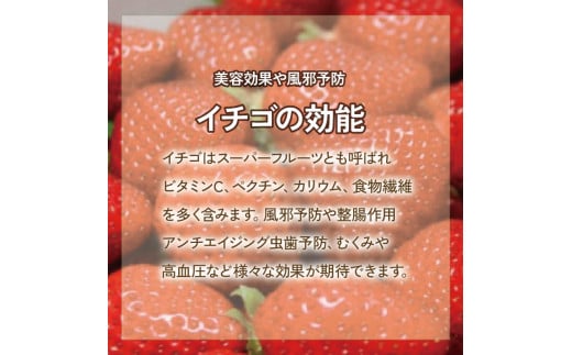 いちご 食べ比べ セット 恋みのり さちのか 各2パック 計4パック ( 280g × 4 ) 大粒 果物 フルーツ 苺 ストロベリー  ケーキ アイス タルト ジュース ゼリー ジェラート シャーベット ジャム スムージー 洋菓子 和菓子 フルーツサンド フルーツ大福 いちご大福 プレゼント ギフト お取り寄せ グルメ 送料無料 徳島県 阿波市 御所の郷