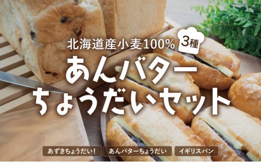 あんバターちょうだいセット 北海道産 小麦 100% パン 詰め合わせ 小豆  F21H-538