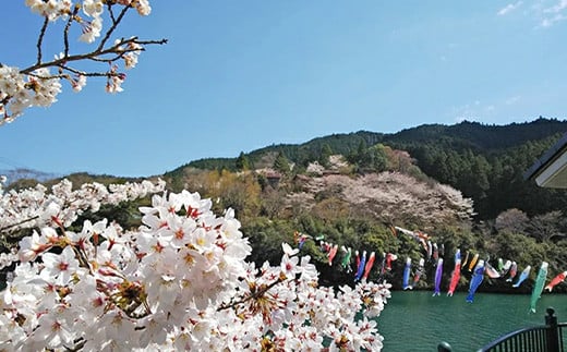 もみじ川温泉ペア宿泊券（朝食付） MO-2  徳島 那賀 旅行 宿泊 宿泊券 ホテル 宿 ペア ペアチケット ペア宿泊券 2名様 朝食付き 朝食付 くつろぎ 観光  